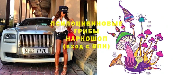 гашик Нязепетровск