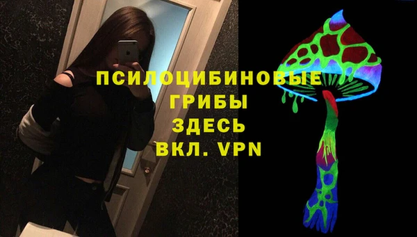 тгк Баксан