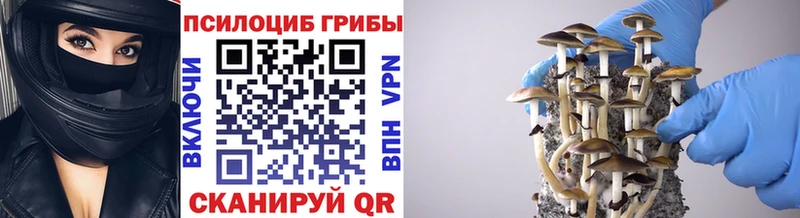 Галлюциногенные грибы мухоморы  Можга 